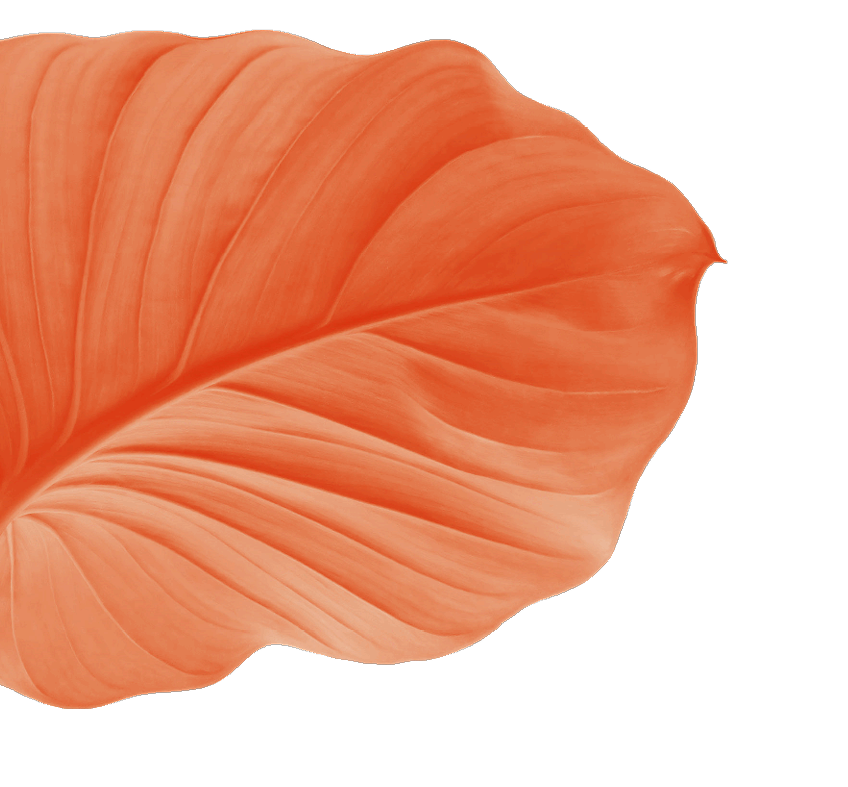 cover leaf - left