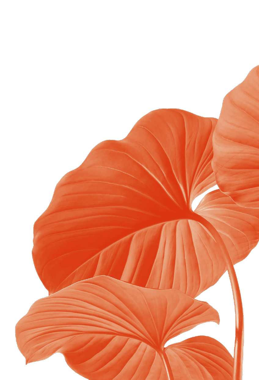 cover leaf - right