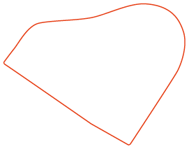 Polygon