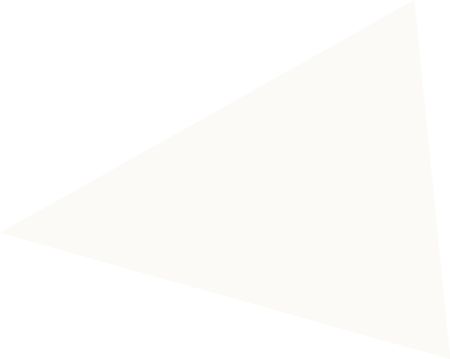 white triangle - flash